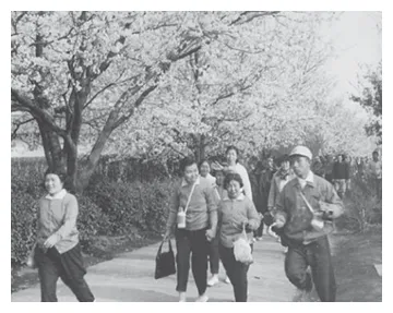 春の遠足の写真