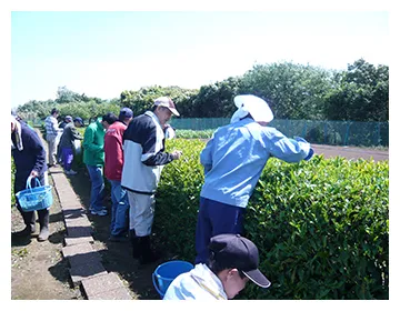 就労実習(食器洗い)の写真