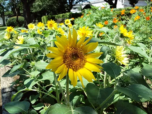サービス内容のイメージ写真