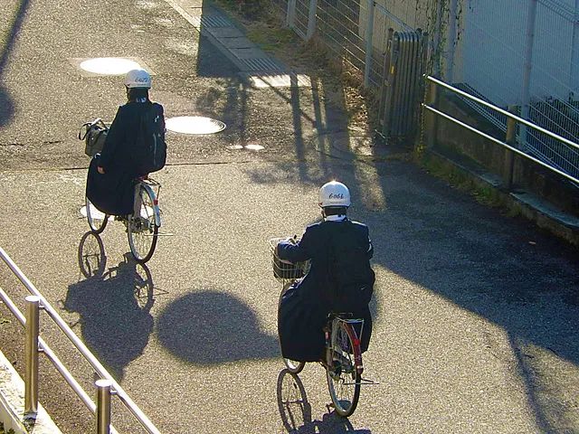 こども園と学校の写真