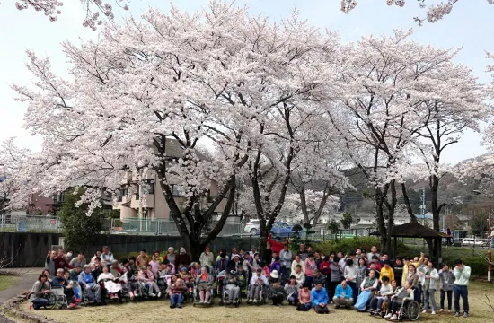満開の桜の下で
