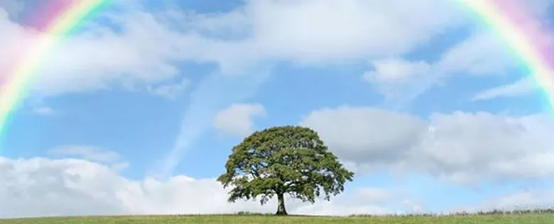 行動障害の軽減についてイメージ