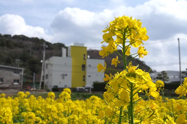 東京都勝山学園の写真