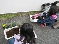 花ボランティアクラブの写真