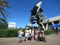 幼児夏キャンプの写真