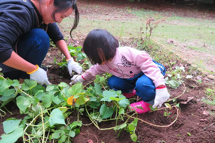 園での生活の写真