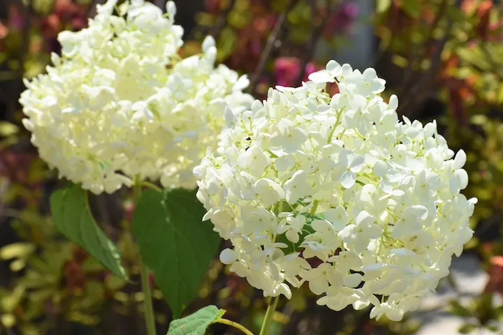 お知らせのイメージ写真