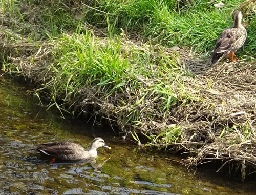 お知らせのイメージ写真