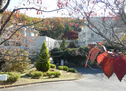 専門的な支援のイメージ写真