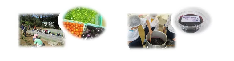 収穫した野菜とジャムの写真