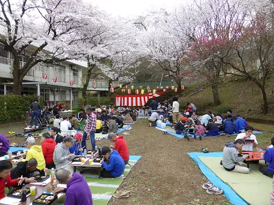 4月に開催したお花見会
