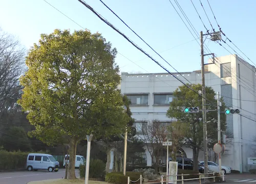 サービス内容のイメージ写真