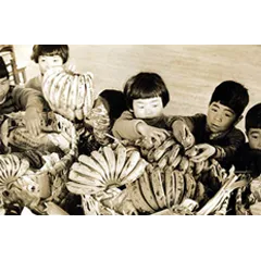 バナナのプレゼント